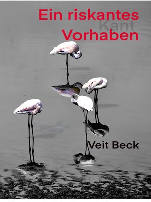 cover image of Ein riskantes Vorhaben